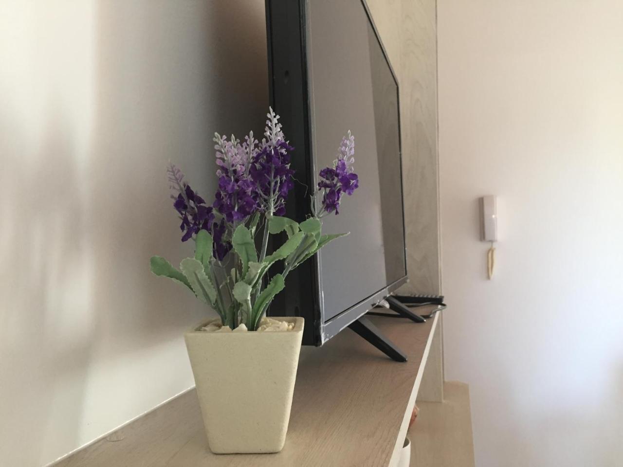 Apartamentos Irigoyen 산라파엘 외부 사진